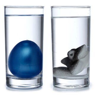 Shark Hatching Egg 1 Pack