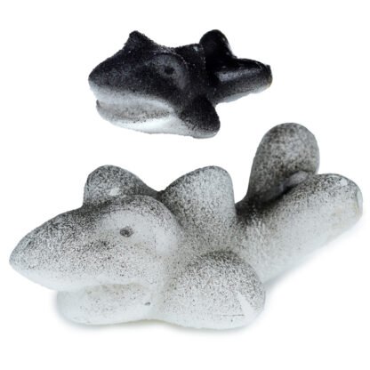 Shark Hatching Egg 1 Pack - Image 2